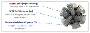 warthog diagram