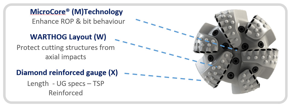 warthog diagram